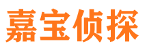 安平市私家调查